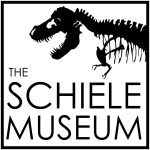 SchielePromotionalLogo