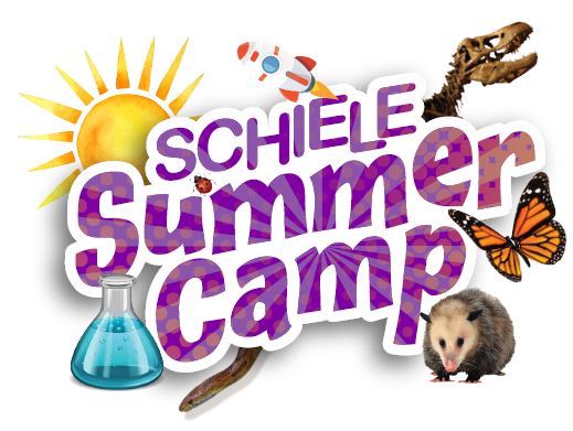 Summer Camp logo