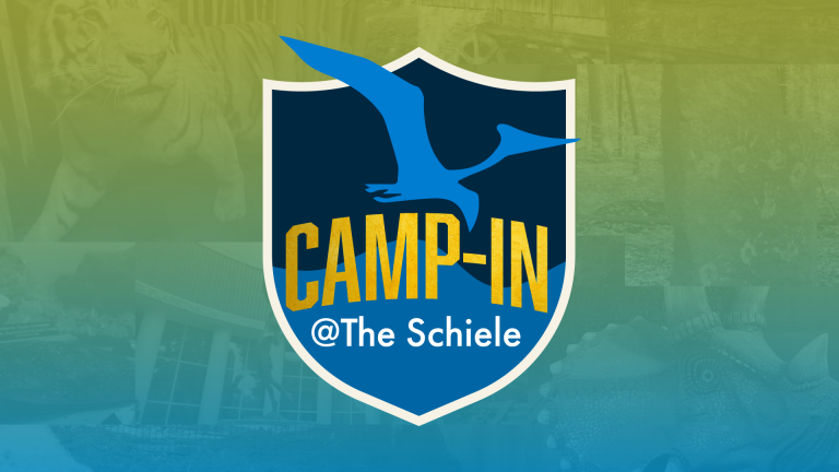 The logo of Camp-In at the Schiele Museum.
