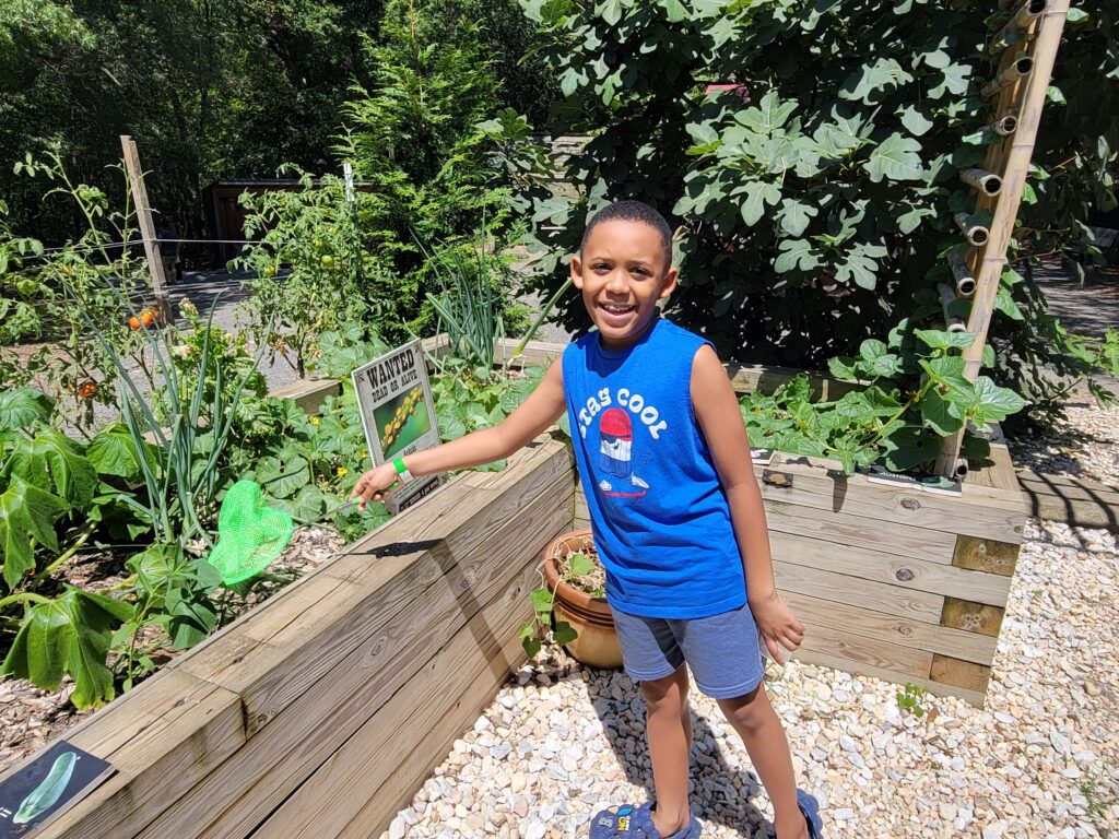 A young boy uses a net to capture insects on The Farm