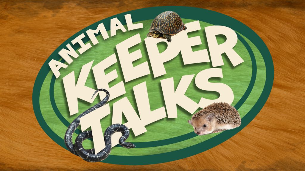 Animal Keeper Talks logo with snake, turtle, and tenrec resting among the letters