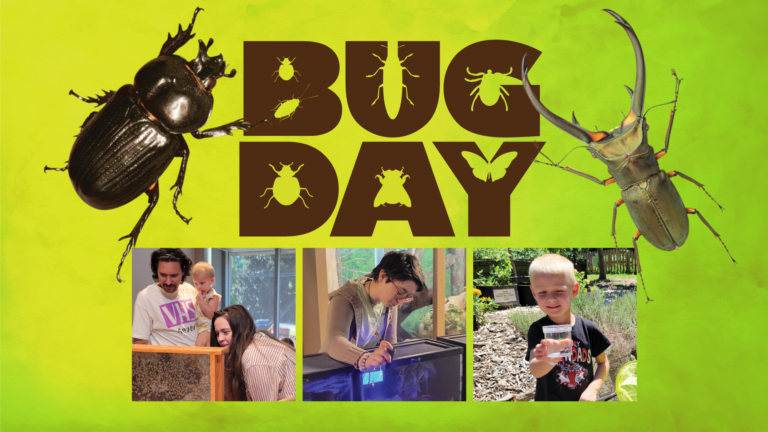 Bug Day logo featuring bugs and photos