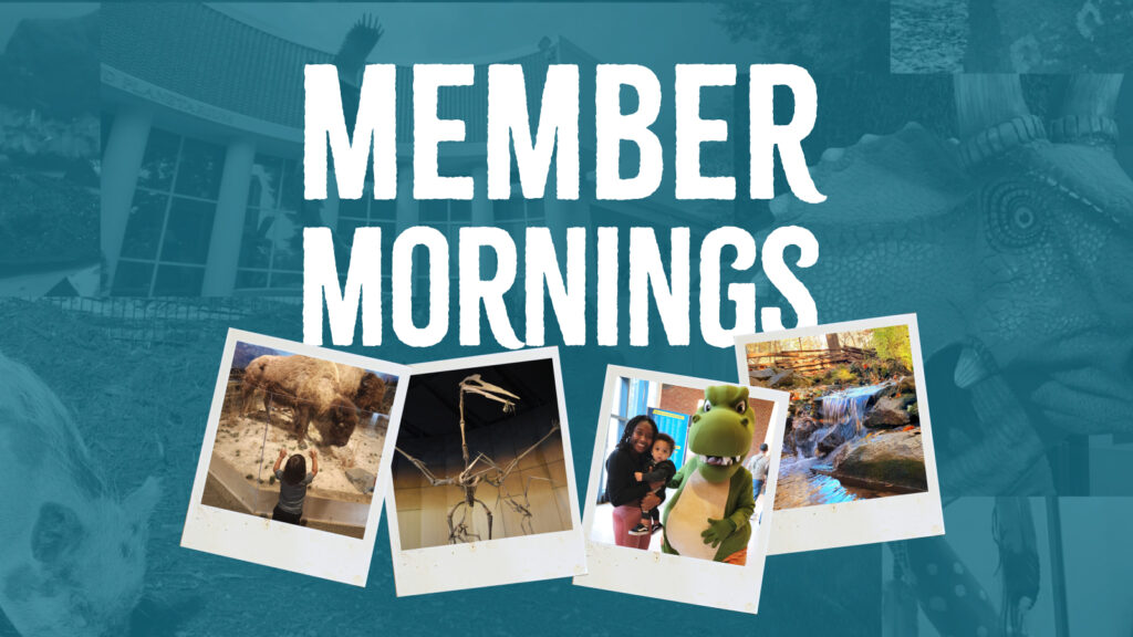 Member Mornings logo featuring snapshots of members at the museum
