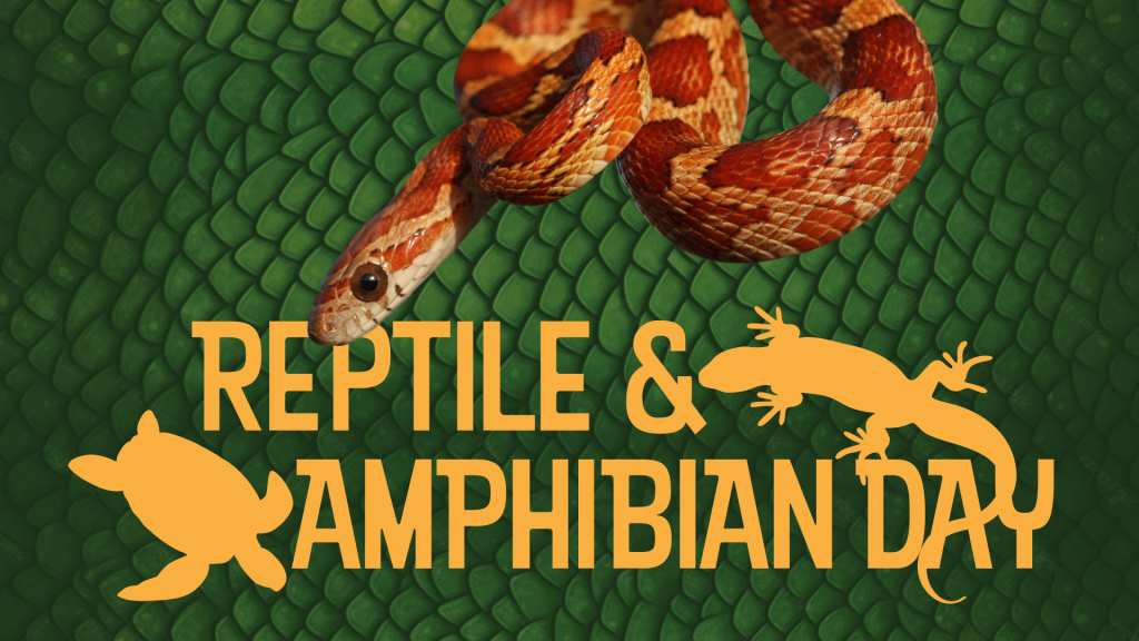 Reptile and Amphibian Day logo featuring a snake