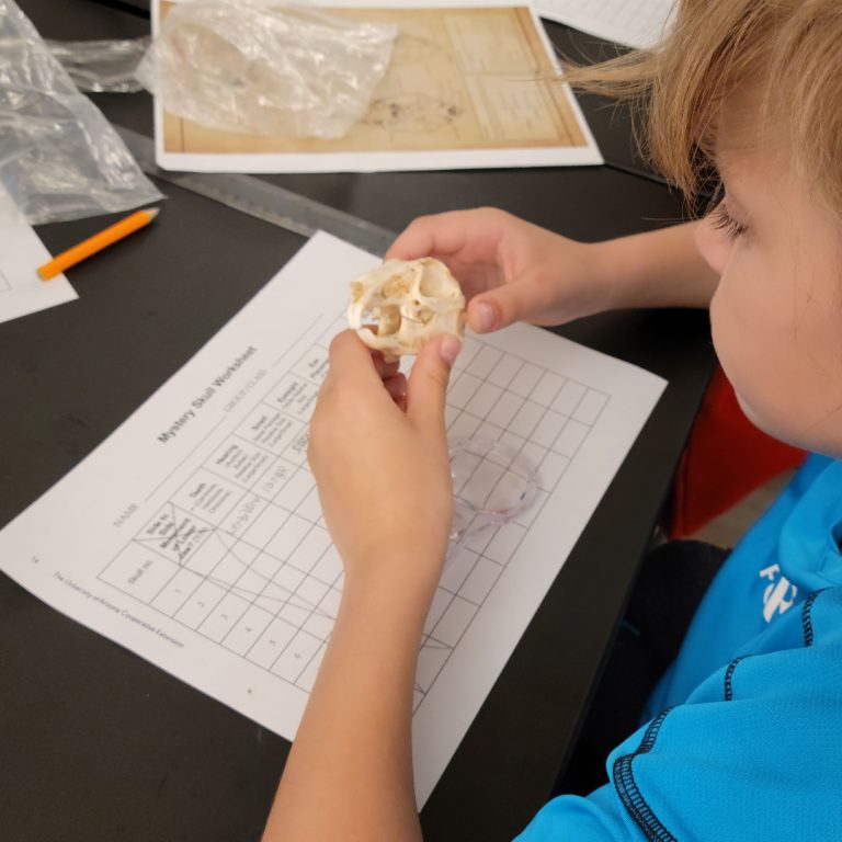 A boy holding a fossil piece and observing it
