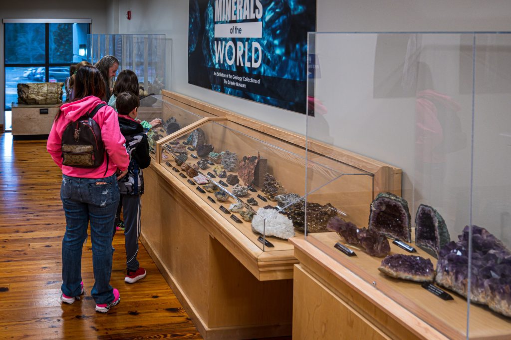 Photo of kids and adults looking at the gemstone display.