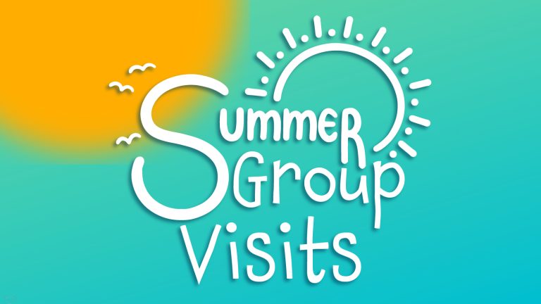 Summer Group Visits logo (white letters against blue/yellow background)