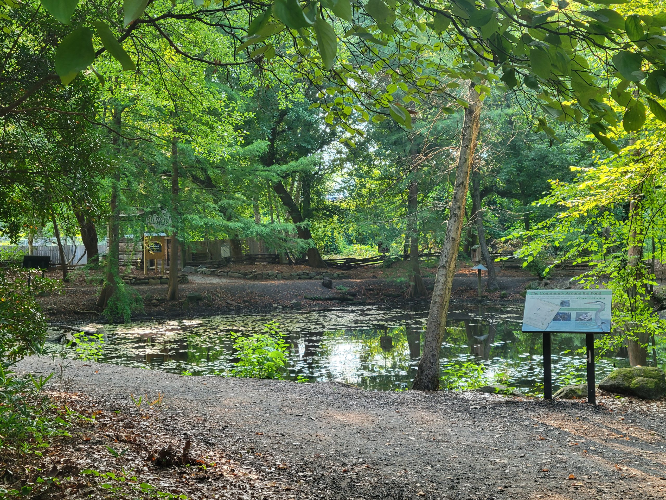 Photograph of the pond in the Nature Trail.