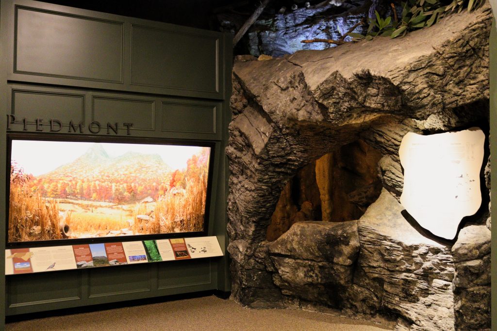 photograph of the cave in the NC Hall Piedmont
