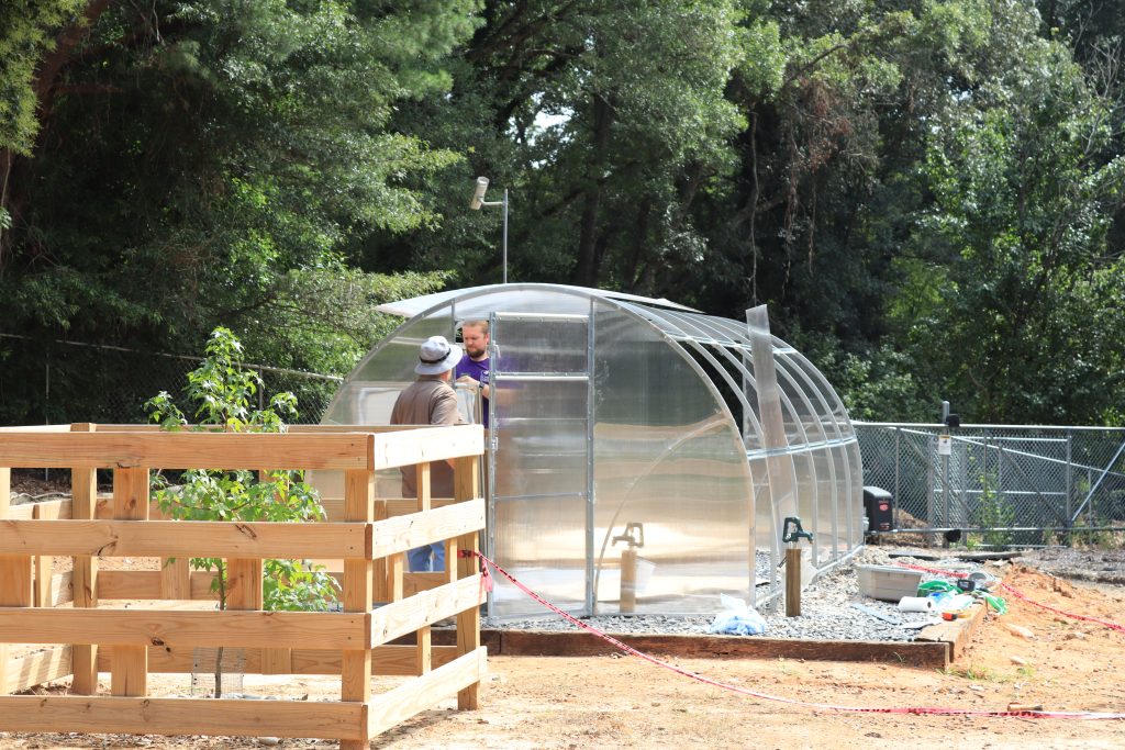 Nathan and Mike building greenhouse from NASA grant off of the nature trail in the sunshine. There is a small tree growing in an enclosed fence in the foreground of the photo.