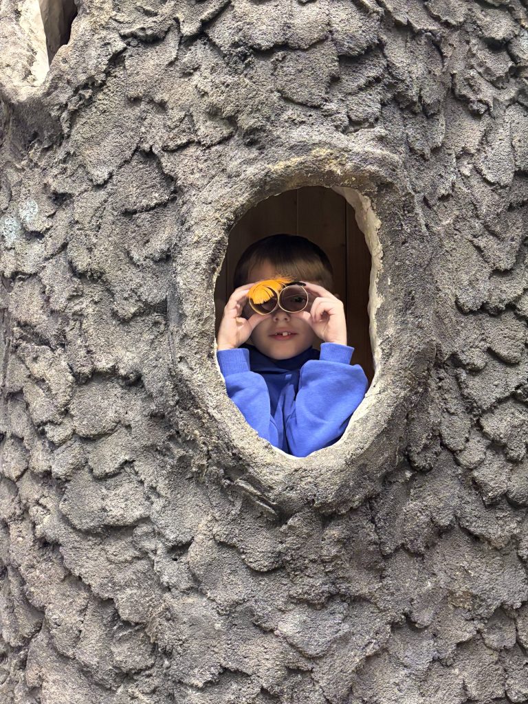 A young child looks out of the tree using the window. He is holding two cardboard tubes as though they are binoculars. He is wearing a blue shirt. There is an orange feather coming off top of the pretend binoculars.