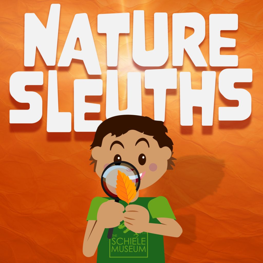 Nature Sleuths camp logo with child looking through a magnifying glass