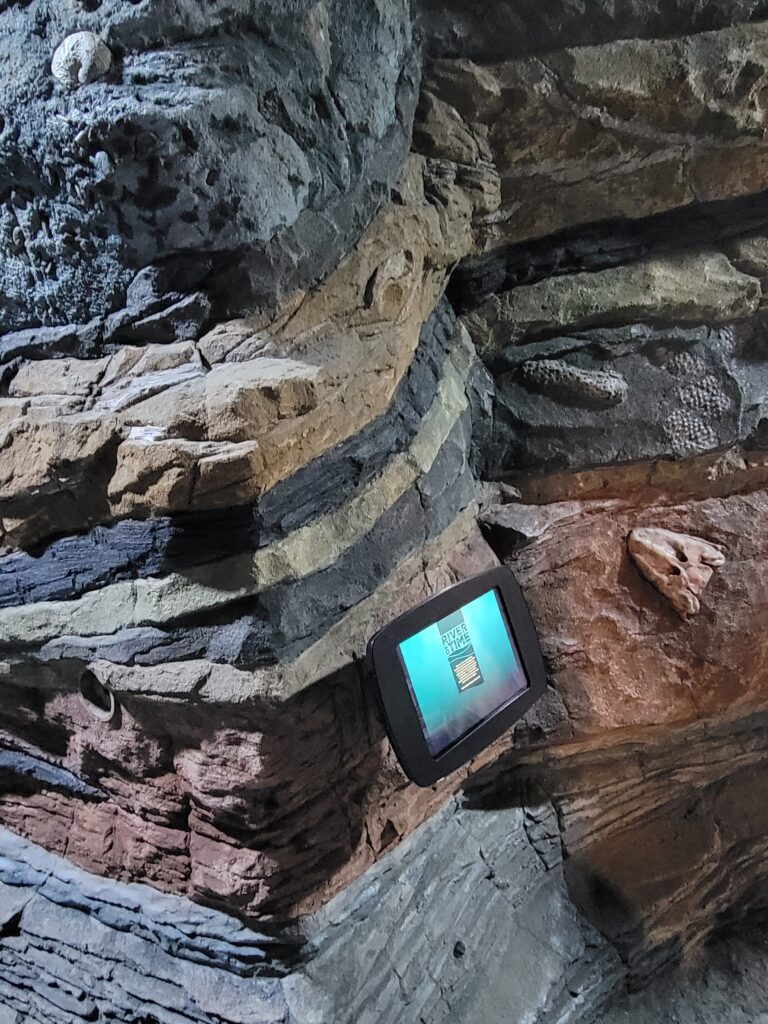 portion of The Schiele's River of Time exhibit and an interactive screen
