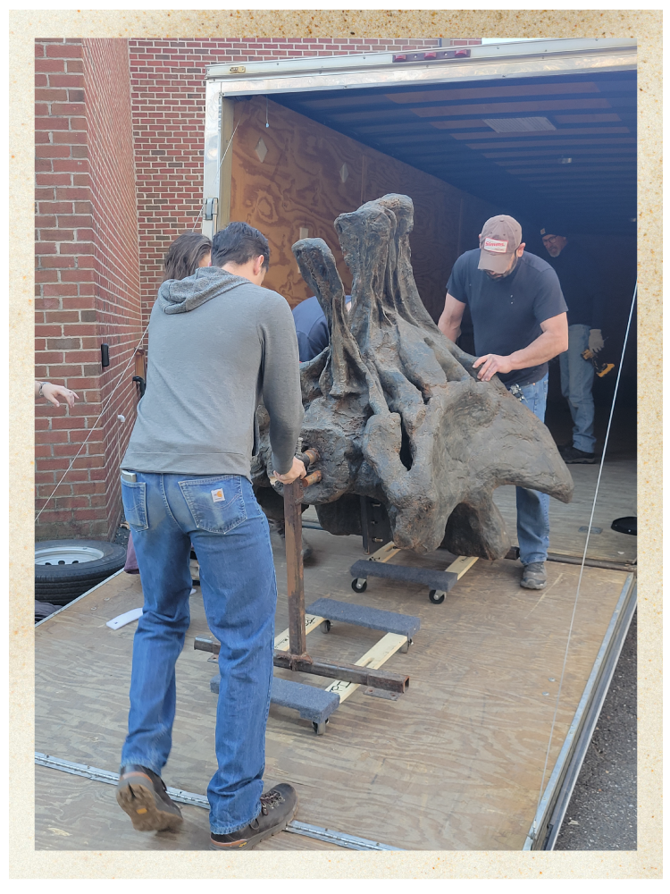 Loading of Fossils