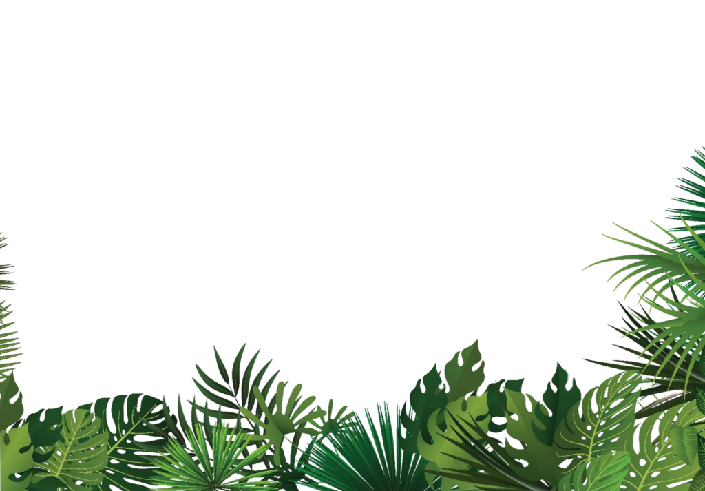 jungle plants