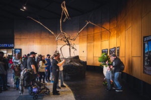 fossil fair lobby
