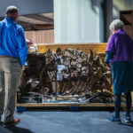 Tony Pasour and Ann Tippitt look at a box full of dinosaur parts