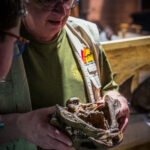 Dr. Derstler holds the cast of the Gastonia skull