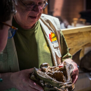 Dr. Derstler holds the cast of the Gastonia skull