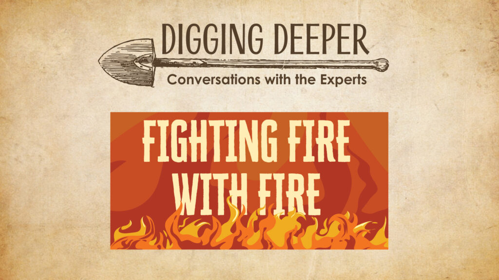 Fighting Fire with Fire