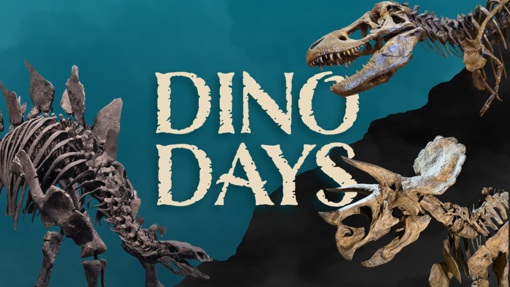 three dinosaur skeletons converging on the words, Dino Days