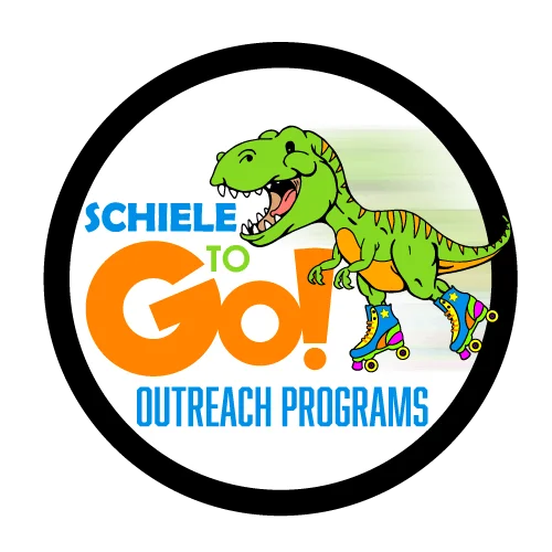 outreach programs