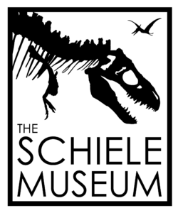 Schiele Logo 2026