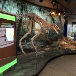 appalachiosaurus skeleton