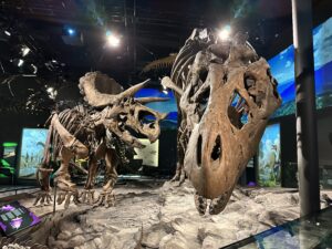 t rex and triceratops