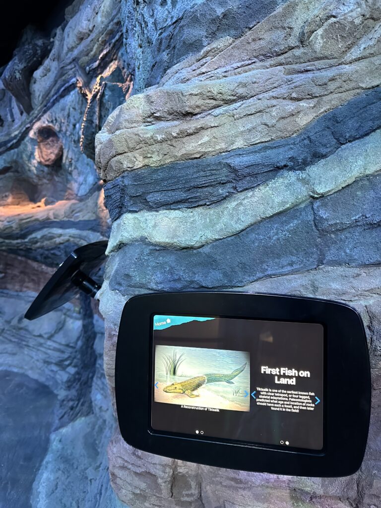 river of time interactive displays