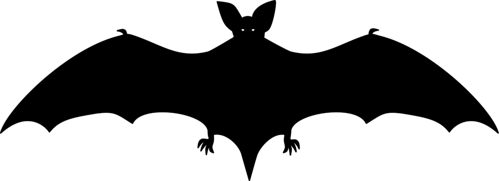 bat graphic