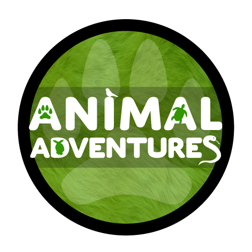 Circle logo with paw print for Animal Adventures - program