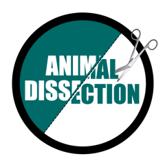 EGWeb AnimalDissection